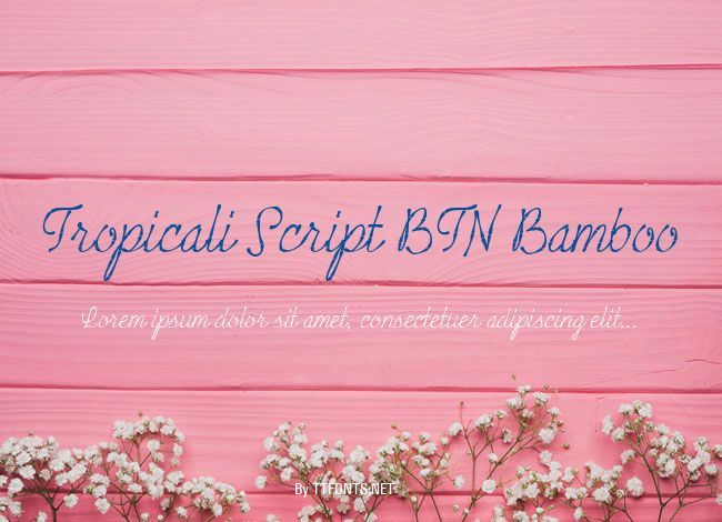 Tropicali Script BTN Bamboo example
